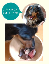 愛犬の生食を使ったごはん