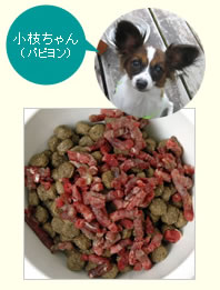 愛犬の生食を使ったごはん