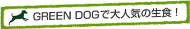 GREEN DOGで大人気の生食!