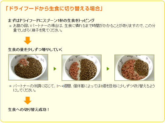 ドライフードから生食に切り替える場合