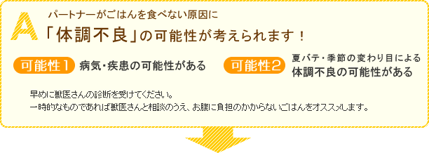 パートナーがごはんを食べない原因に体調不良の可能性が考えられます!