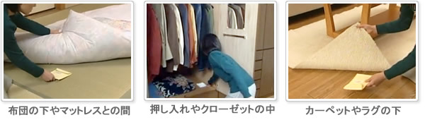 布団の下やマットレスとの間、押し入れやクローゼットの中、カーペットやラグの下