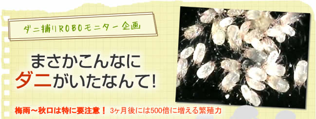 ダニ捕りROBOモニター企画　まさかこんなにダニがいたなんて! 梅雨～秋口は特に要注意!3ヶ月後には500倍に増える繁殖力