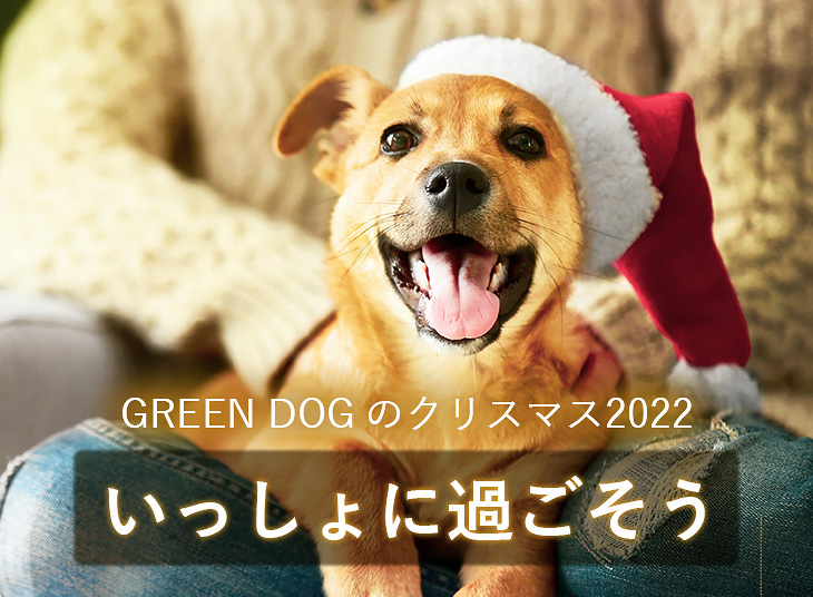 GREEN DOG（グリーンドッグ）のクリスマス2022