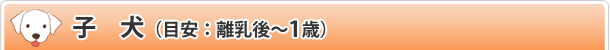 子犬(目安:離乳後~1歳)