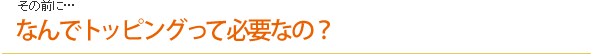 なんでトッピングって必要なの?