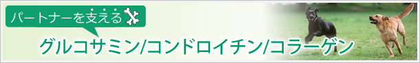 グルコサミン/コンドロイチン/コラーゲン