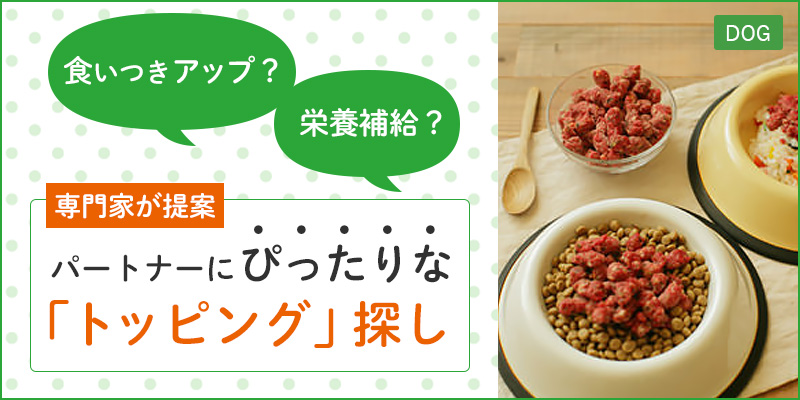 すでにトッピングしているあなたも トッピングに興味があるあなたも ひと目で発見！パートナーにぴったりな「トッピング」探し