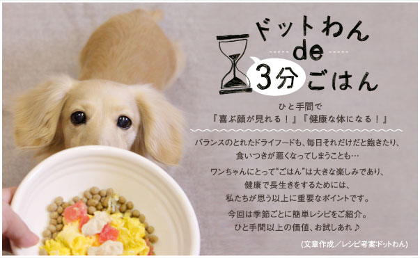 ドットわん de 3分ごはん