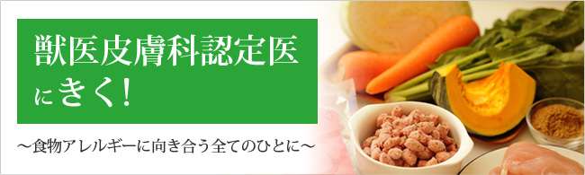 獣医皮膚科認定医にきく！～食物アレルギーに向き合う全てのひとに～