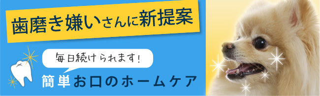 歯磨き嫌いさんに新提案 毎日続けられます！簡単お口のホームケア