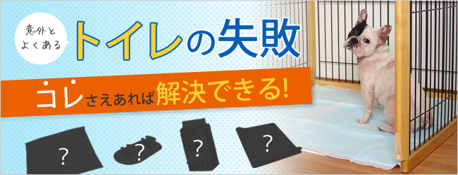 意外とよくあるトイレの失敗 コレさえあれば解決できる！