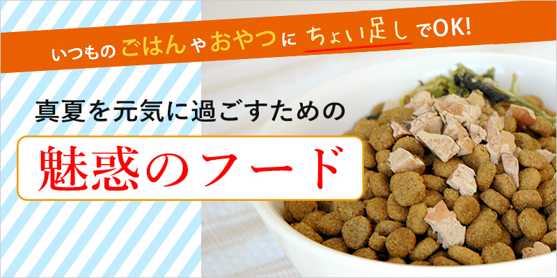 こんな症状は要注意！夏バテ対策にもってこいな魅惑のフード