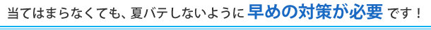 当てはまらなくても、夏バテしないように早めの対策が必要です。
