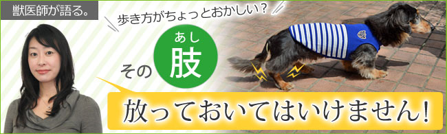 獣医師が語る。歩き方がちょっとおかしい？　その肢、放っておいてはいけません