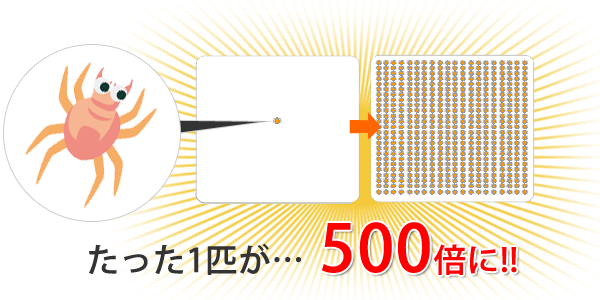 繁殖スピードがすごいダニ