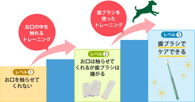 ステップアップトレーニング