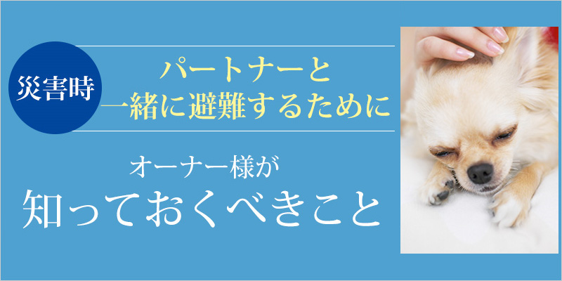 災害時、パートナーと一緒に避難するために オーナー様が知っておくべきこと