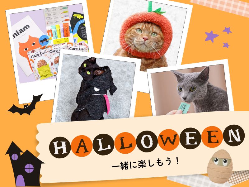 愛猫と一緒に楽しもう!ハロウィン2026