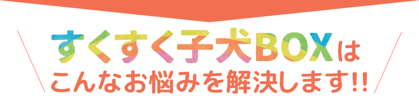 すくすく子犬BOXなら、子犬との暮らしの疑問・お悩みが解決します!