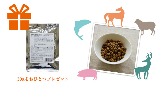 デイリープロ ドライフード