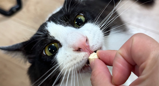 ひとくち鶏むね＆なんこつ