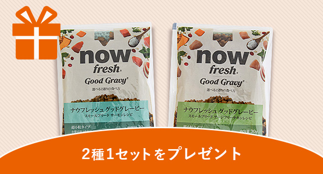 nowfreshプレゼント