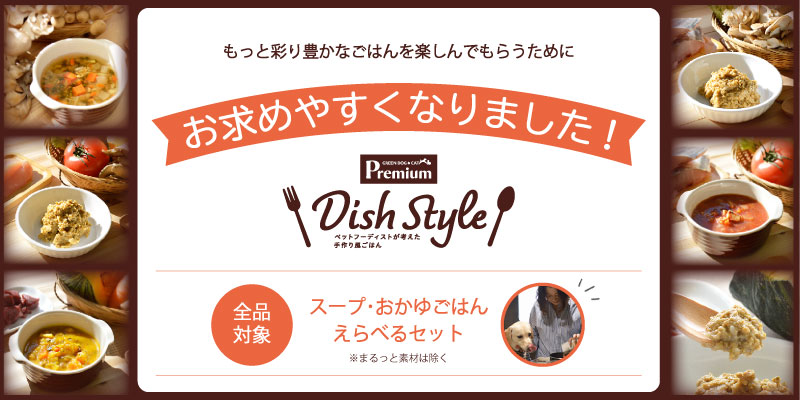 Dish Styleがお求めやすくなりました。