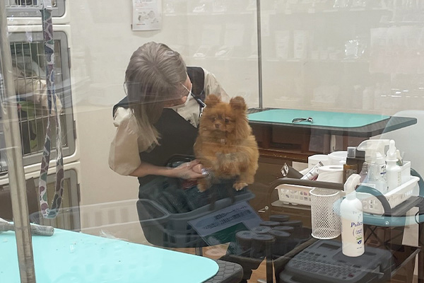 グルーミングの様子