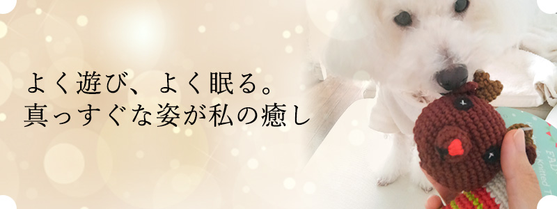 おもちゃとベッド