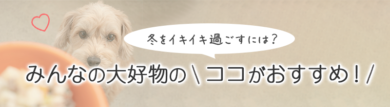 「冬のイキイキ過ごすには？」みんなの大好物のココがおすすめ！