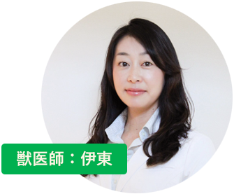 獣医師伊東