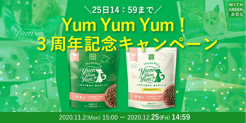 食事を食べない老犬の食欲をうながす手作りごはんとおすすめ食材5つ