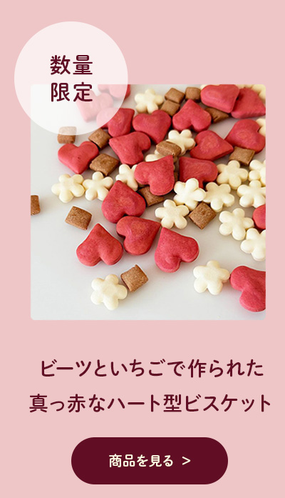 キッチンドッグバレンタインクッキー