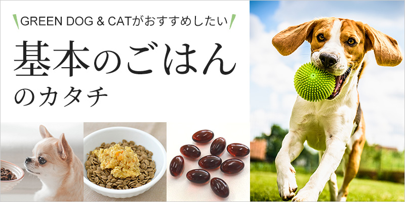 GREEN DOGがおすすめしたい「基本のごはんのカタチ」