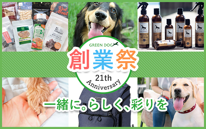 GREEN DOG創業祭