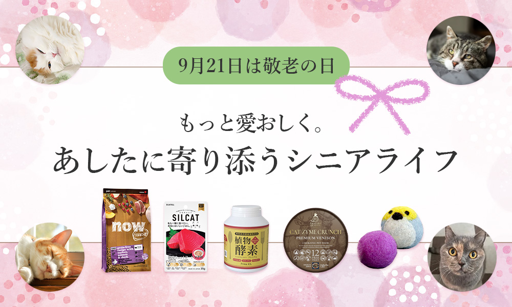 もっと愛おしく。あしたに寄り添うシニアライフ