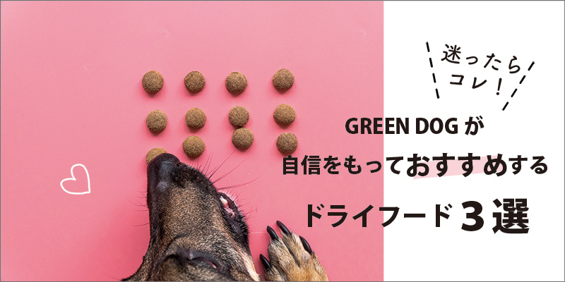 迷ったらコレ！ GREEN DOG が自信をもっておすすめするドライフード３選