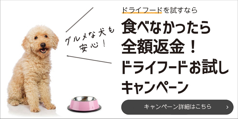 GREEN DOG & CATへようこそ 初めての方へ伝えたい、私たちのこだわり。
