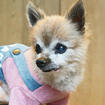 yumyumyumハイシニア