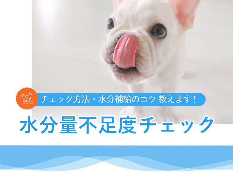 愛犬の水分量不足度チェック