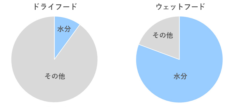 水分の比較