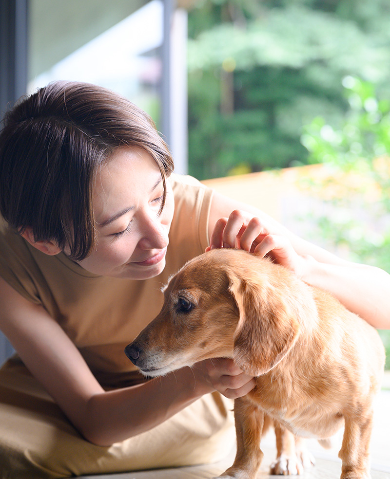 PET FOODIST（ペットフーディスト）とは？