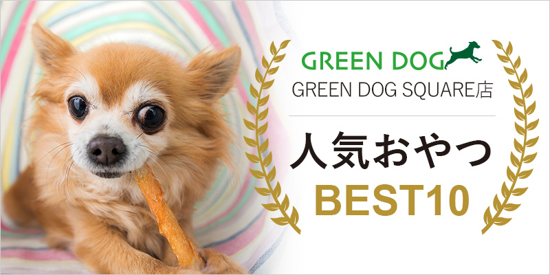 【GREEN DOG SQUAR (神戸)】人気おやつ BEST10