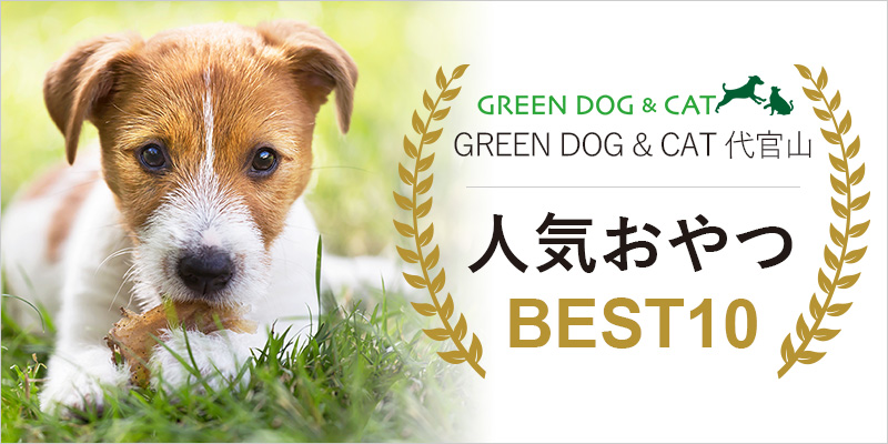 【GREEN DOG 代官山】人気おやつ BEST10