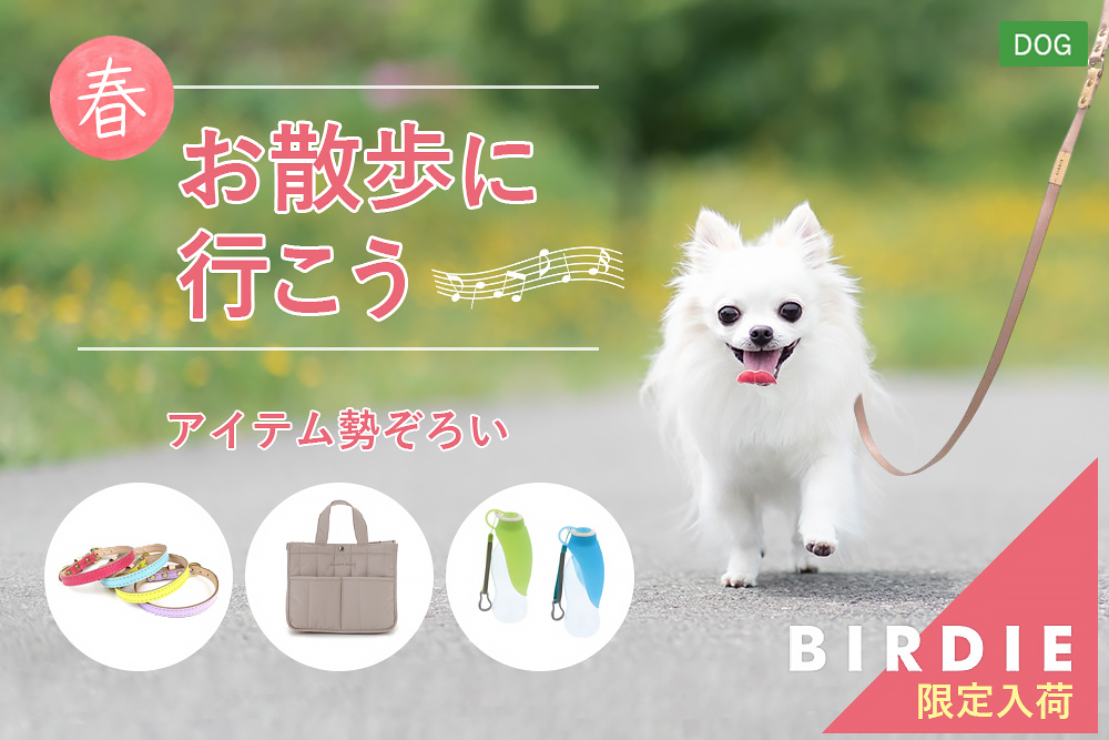 パートナー（愛犬）のお散歩グッズ～spring2025～