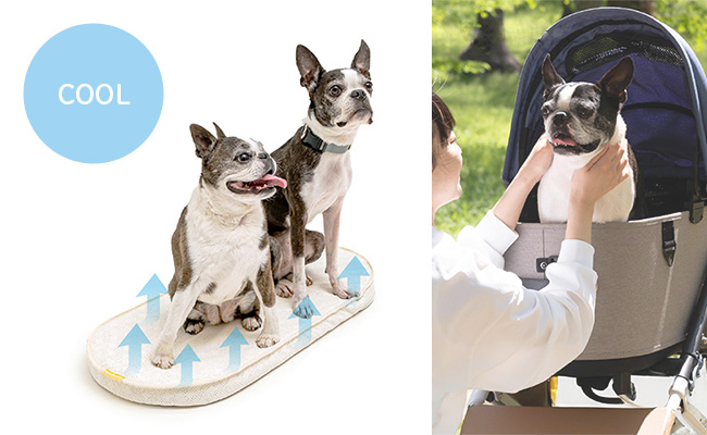 エアモンペット