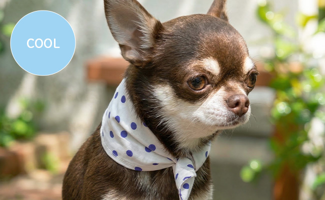 ネッククーラー　プリントコットン