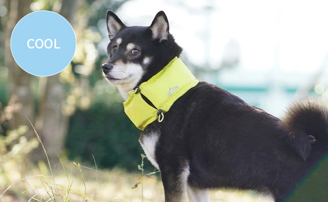IDOG ICE HOLD ネッククーラー 保冷剤付（在庫限り）※Sサイズ販売終了