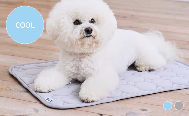 Quilt　接触冷感 マット